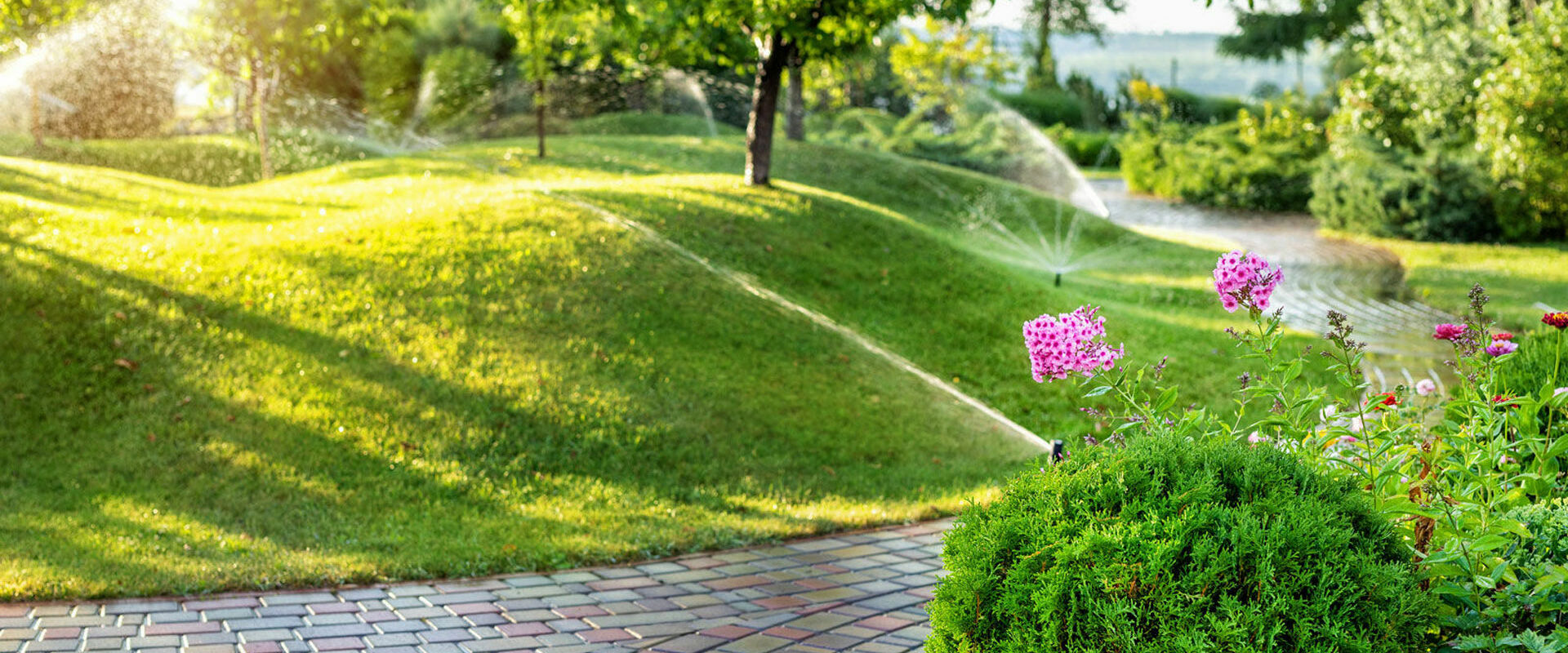 Cura del giardino