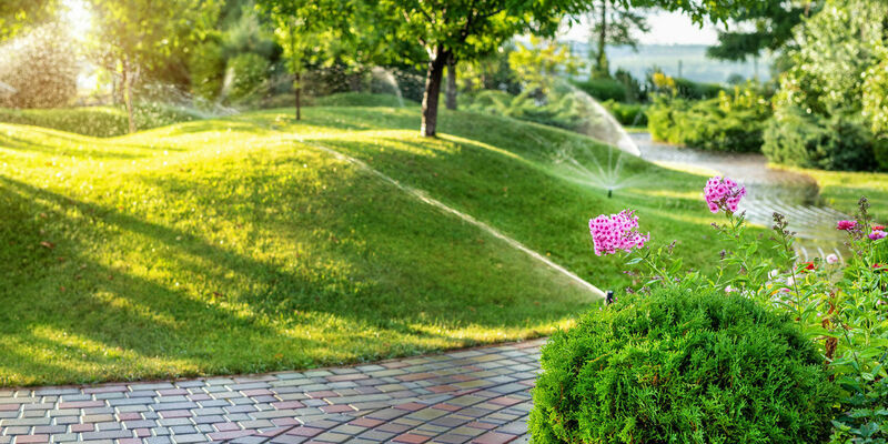 Cura del giardino