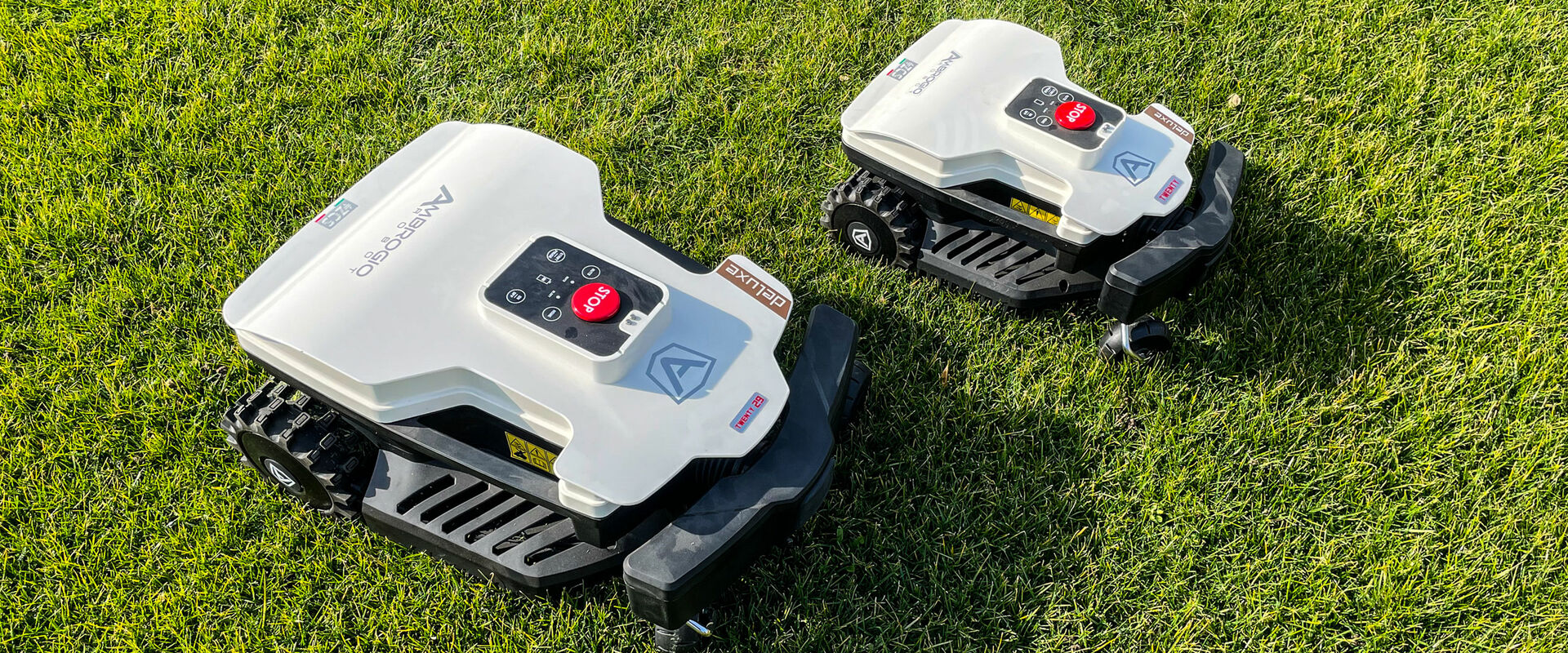 Tosaerba e robot rasaerba